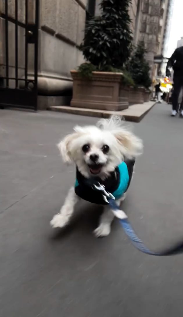 Becky, now adopted